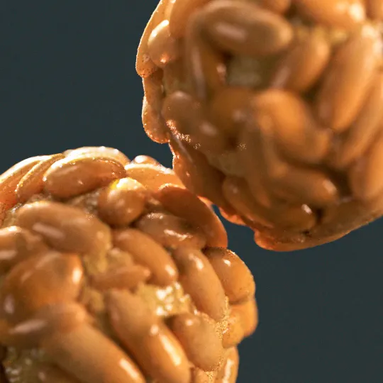 Hyper-detailed 3D render of a panellet. Maya, ZBrush, V-Ray, Photoshop.